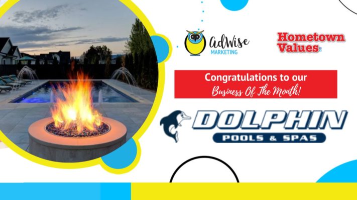Business of the month- dolphin pools & spa